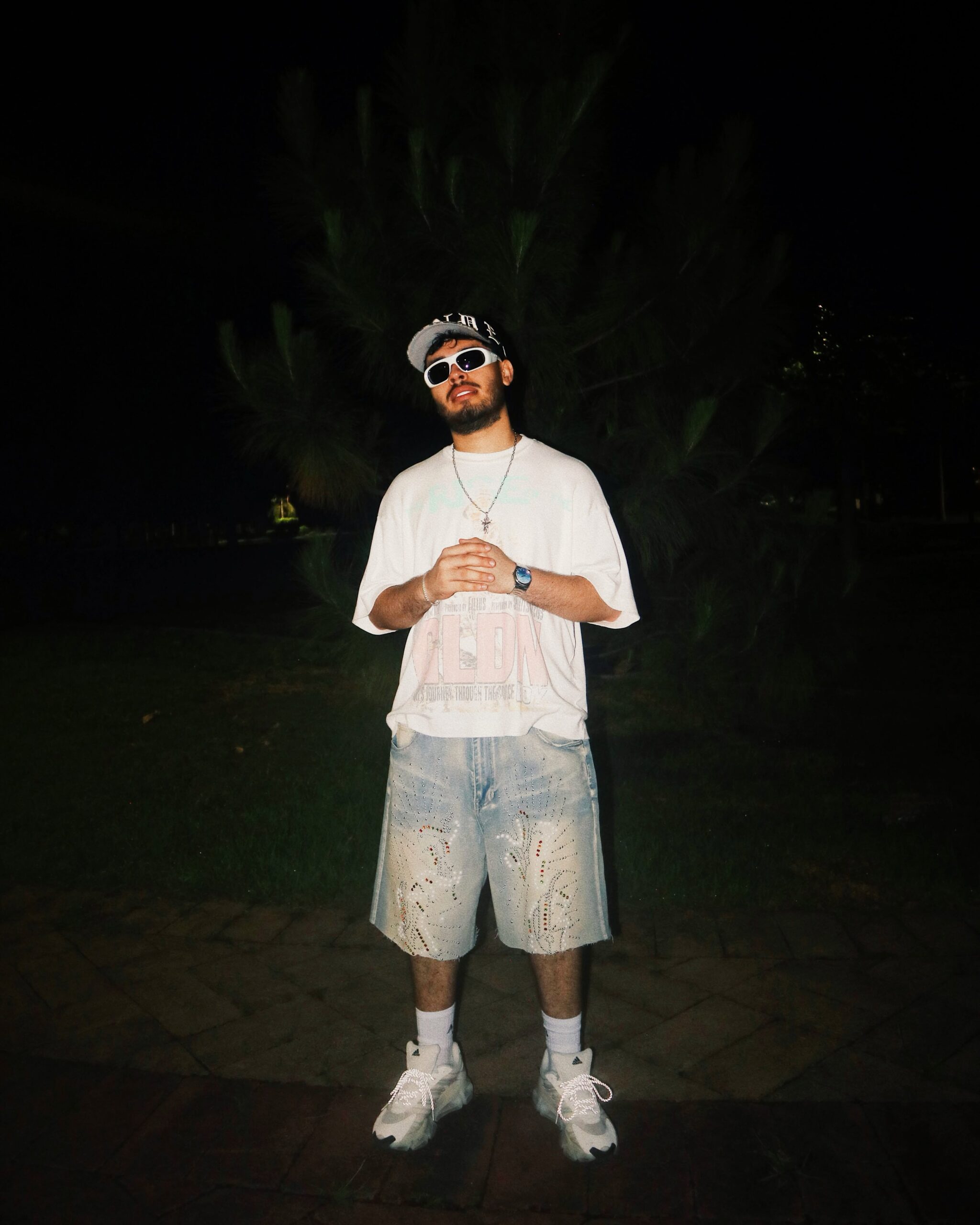 ALEMVN
